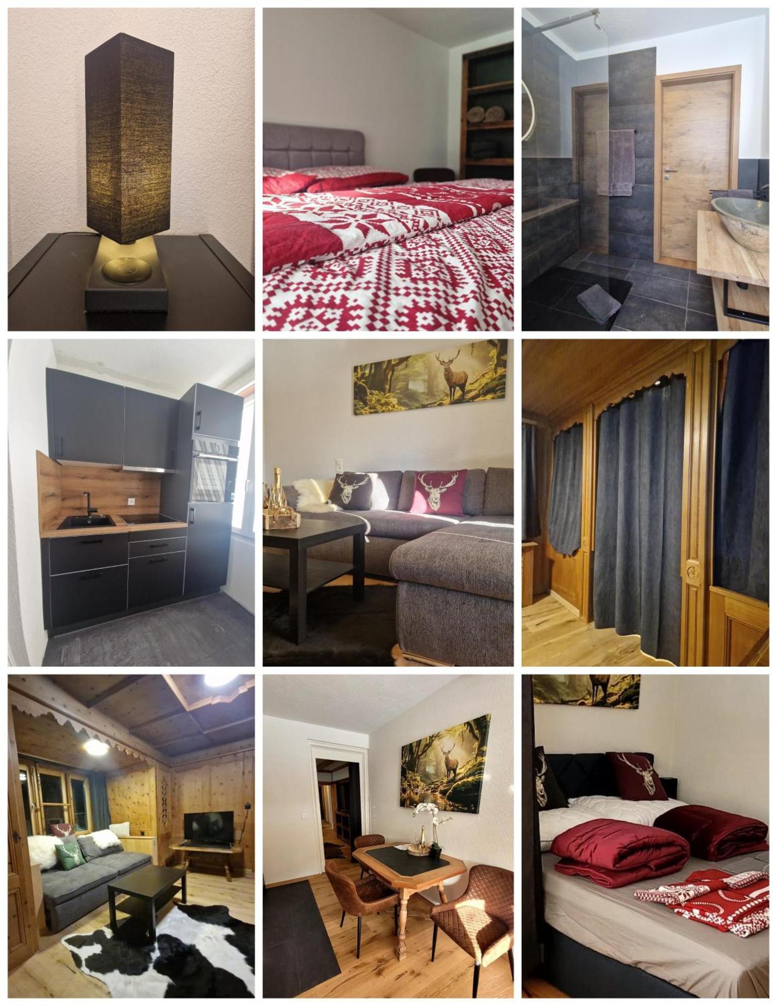 Fewo's Und Apartment's Blaues Haus Appartement Davos